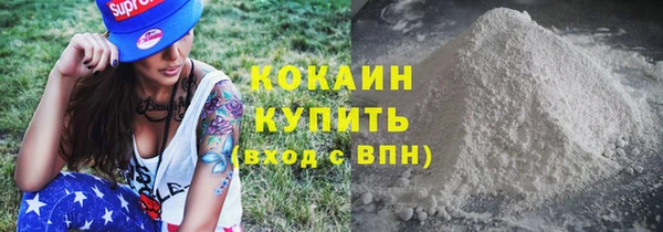 прущие грибы Новозыбков