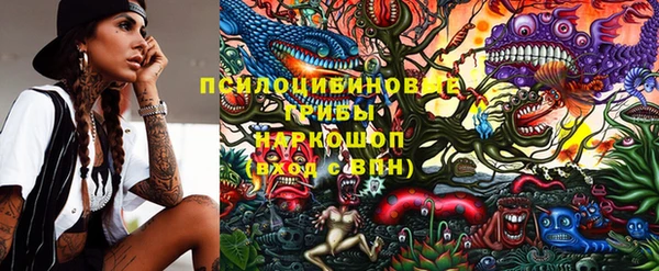 альфа пвп Няндома