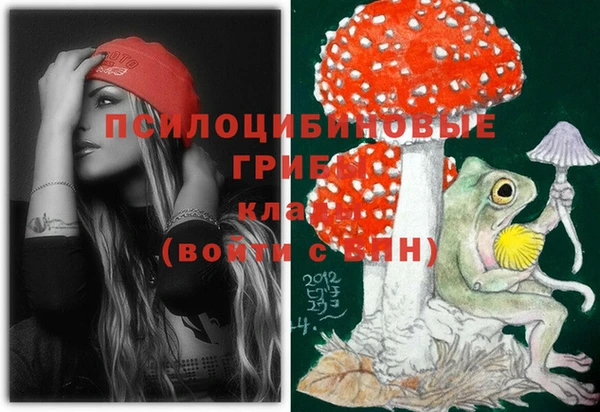 альфа пвп Няндома